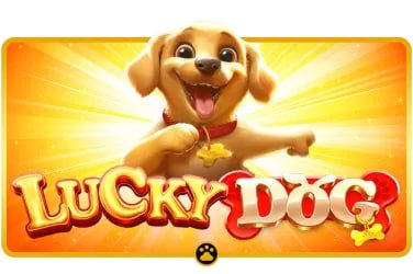t788